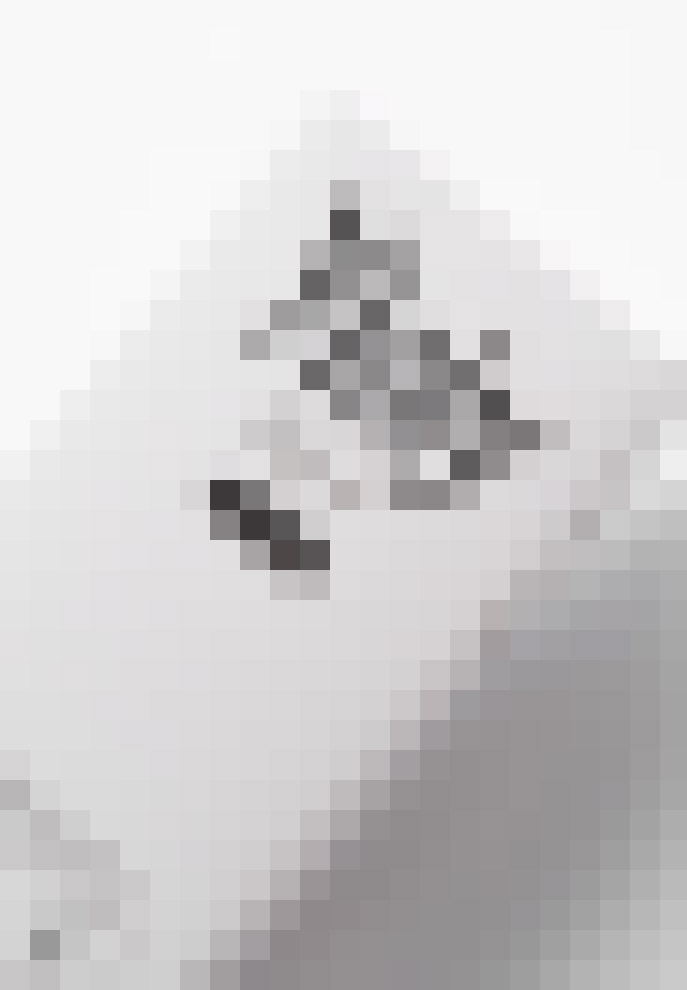 Image Title